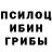Галлюциногенные грибы прущие грибы Arthur Tesoto