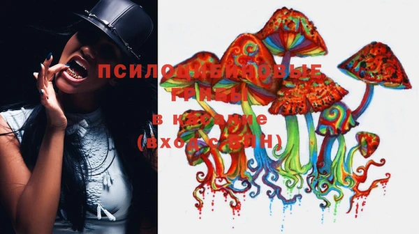 кокаин Алексеевка