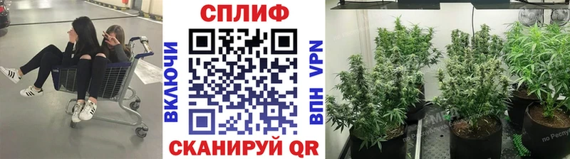 mega маркетплейс  цены   Нелидово  Бошки марихуана планчик 